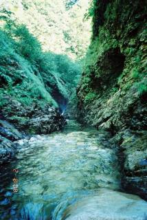 FH020020.jpg