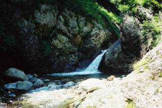 FH020017.jpg