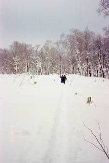 FH020025.jpg