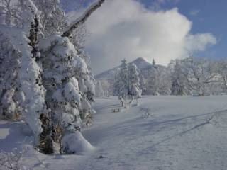 DSC00770.jpg