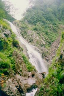Co810_大滝.jpg