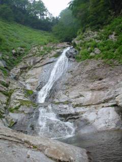 DSC00730.jpg