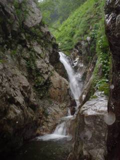 DSC00733.jpg