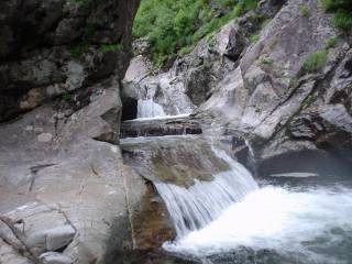 DSC00886.jpg