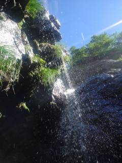 DSC00943.jpg