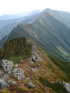 DSC00993.jpg