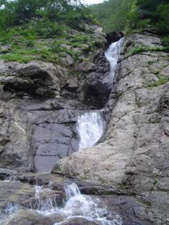 DSC01022.jpg
