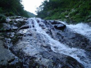 DSC00788.jpg