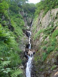DSC00807.jpg