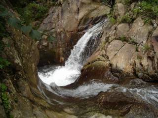 DSC00863.jpg