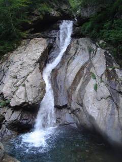 DSC00871.jpg