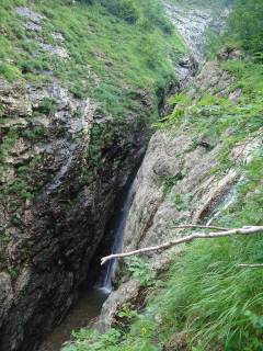 DSC00907.jpg