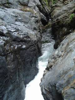 DSC00940.jpg