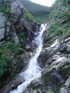 DSC00689.jpg