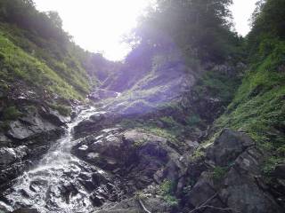 DSC00730.jpg