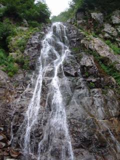 DSC00615.jpg