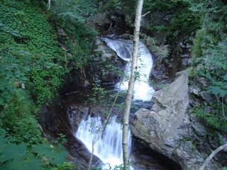DSC00466.jpg
