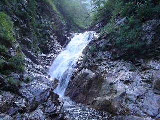 DSC00483.jpg