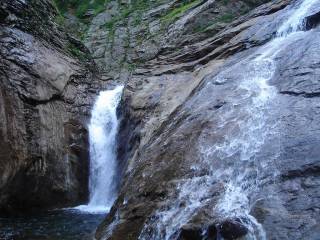 DSC00500.jpg