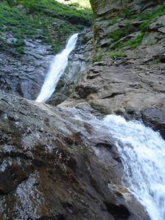 DSC00502.jpg