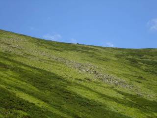 DSC00549.jpg