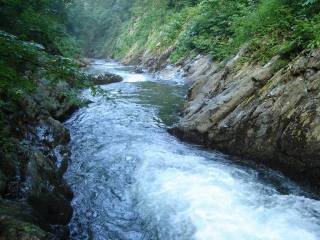 DSC00352.jpg