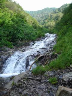 DSC00248.jpg