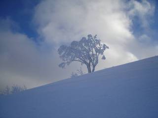DSC01244.jpg