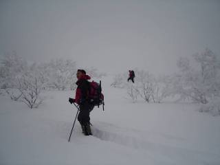 DSC01311.jpg