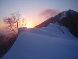 DSC01637.jpg