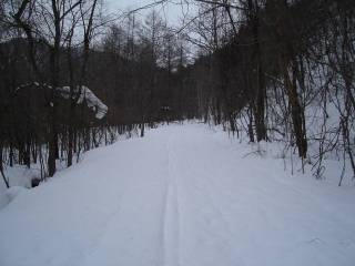 DSC01655.jpg