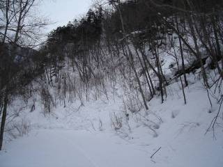 DSC01657.jpg