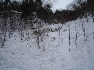 DSC01661.jpg