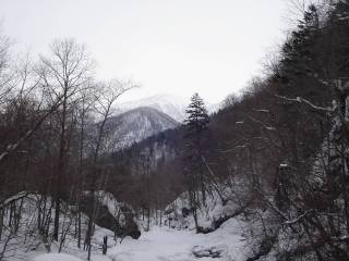 DSC01667.jpg