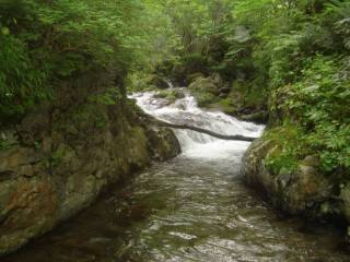 DSC02301.jpg