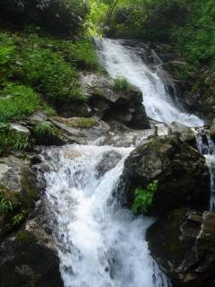 DSC02305.jpg