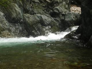 DSC02584.jpg