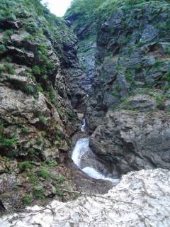 DSC02652.jpg