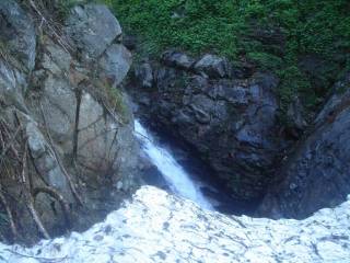 DSC02376.jpg