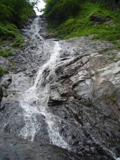 DSC02793.jpg