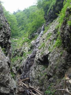 DSC02832.jpg