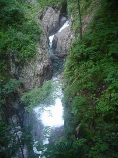 DSC00767.jpg