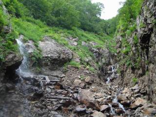 DSC03123.jpg