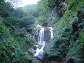 DSC03158.jpg