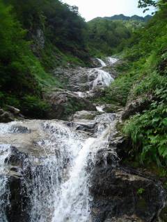 DSC03171.jpg