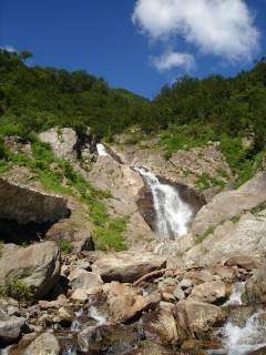 DSC03226.jpg