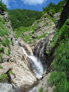 DSC03236.jpg