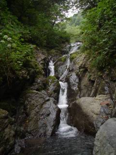 DSC03332.jpg