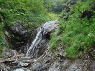 DSC03349.jpg