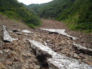 DSC03378.jpg